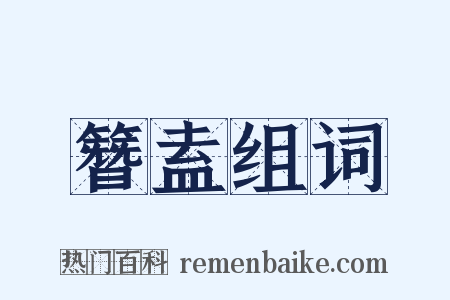 簪盍组词是什么意思的图片